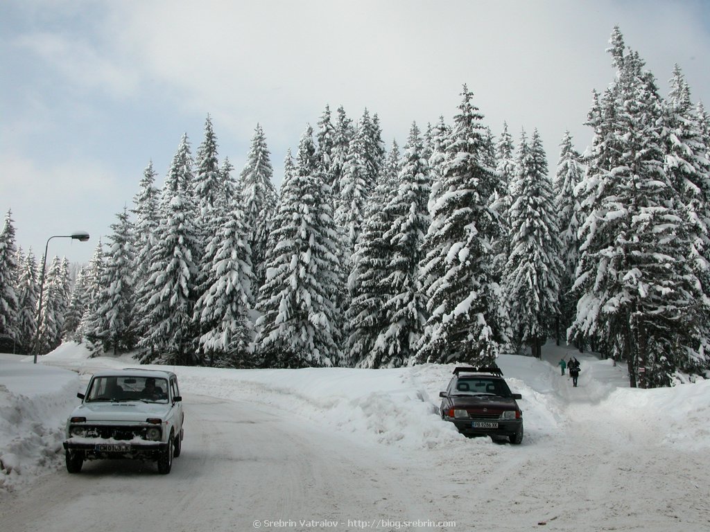 Click for next picture...