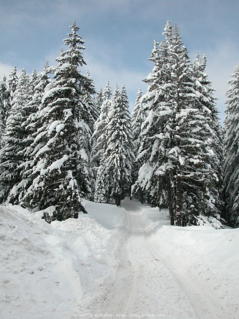 Click for next picture...