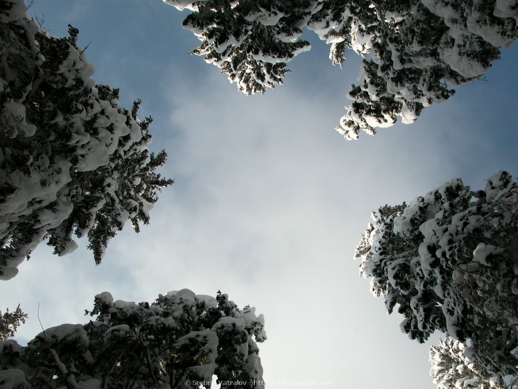 Click for next picture...