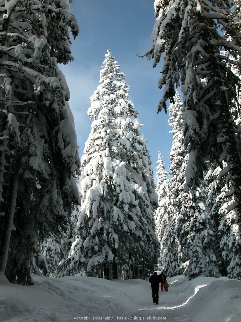 Click for next picture...