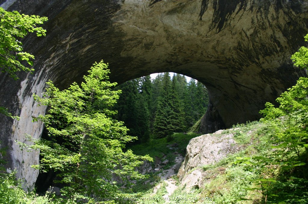 IMG_8079 Chudnite mostove - Wonderful bridges.JPG
Make: Canon
Model: Canon EOS DIGITAL REBEL
DateTime: 09.7.2005 . 11:36:31
EXIFImageWidth: 2048
ExifImageLength: 1360
Flash: Flash did not fire - Compulsory flash suppression
ISOSpeedRatings: ISO 100
ShutterSpeedValue: 1/60 sec
ApertureValue: F5,6
FocalLength: 18 mm