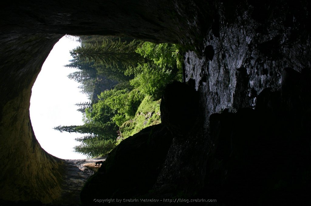 IMG_8108 Ledeno studena reke teche pod skalnite mosotve.JPG
Make: Canon
Model: Canon EOS DIGITAL REBEL
DateTime: 09.7.2005 . 11:53:18
EXIFImageWidth: 1360
ExifImageLength: 2048
Flash: Flash did not fire - Compulsory flash suppression
ISOSpeedRatings: ISO 100
ShutterSpeedValue: 1/125 sec
ApertureValue: F7,1
FocalLength: 18 mm