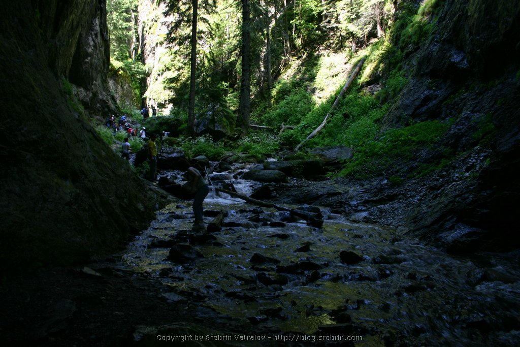 IMG_8115.JPG
Make: Canon
Model: Canon EOS DIGITAL REBEL
DateTime: 09.7.2005 . 11:56:51
EXIFImageWidth: 1536
ExifImageLength: 1024
Flash: Flash did not fire - Compulsory flash suppression
ISOSpeedRatings: ISO 100
ShutterSpeedValue: 1/30 sec
ApertureValue: F5,6
FocalLength: 18 mm