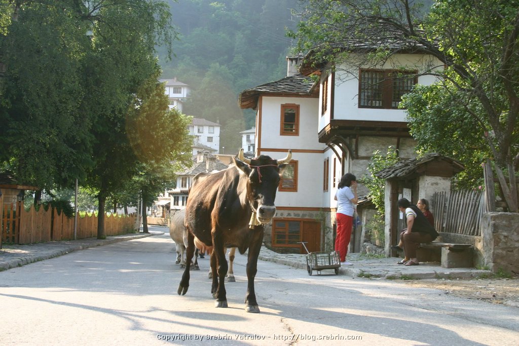 IMG_8203 Daily life at Sunset in Shiroka Laka.JPG
Make: Canon
Model: Canon EOS DIGITAL REBEL
DateTime: 09.7.2005 . 18:27:00
EXIFImageWidth: 1536
ExifImageLength: 1024
Flash: Flash did not fire - Compulsory flash suppression
ISOSpeedRatings: ISO 100
ShutterSpeedValue: 1/60 sec
ApertureValue: F6,3
FocalLength: 33 mm