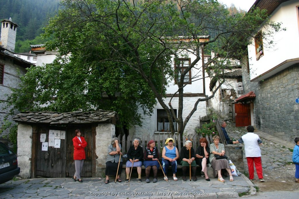 IMG_8234 Babenki na sedenka v Shiroka Laka.JPG
Make: Canon
Model: Canon EOS DIGITAL REBEL
DateTime: 09.7.2005 . 20:09:43
EXIFImageWidth: 1536
ExifImageLength: 1024
Flash: Flash did not fire - Compulsory flash suppression
ISOSpeedRatings: ISO 200
ShutterSpeedValue: 1/30 sec
ApertureValue: F5,6
FocalLength: 18 mm