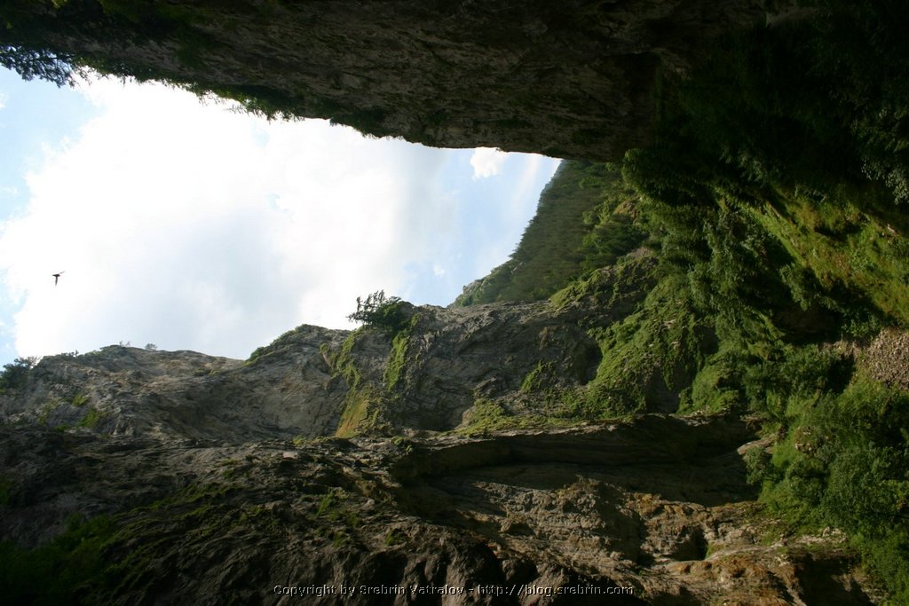 IMG_8325 Trigrad magnificent natural rock phenomenon.JPG
Make: Canon
Model: Canon EOS DIGITAL REBEL
DateTime: 10.7.2005 . 13:36:06
EXIFImageWidth: 1024
ExifImageLength: 1536
Flash: Flash did not fire - Compulsory flash suppression
ISOSpeedRatings: ISO 100
ShutterSpeedValue: 1/200 sec
ApertureValue: F9
FocalLength: 18 mm