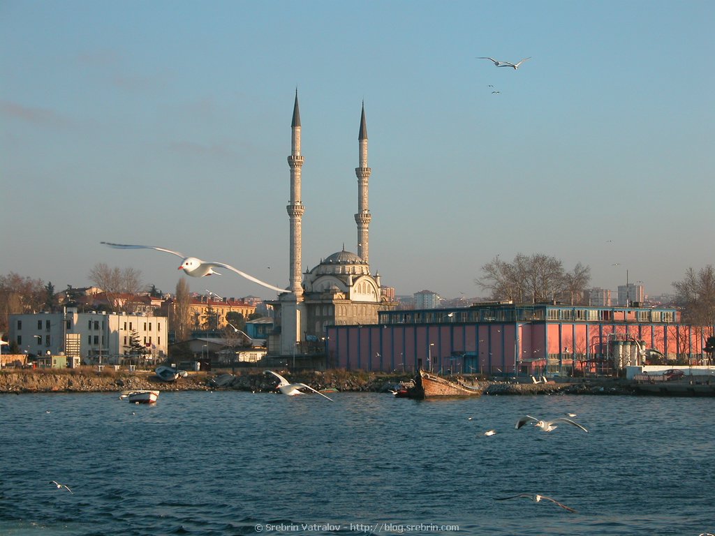 DSCN7711 Approaching European Istanbul from Haydarpassa station
Click for next picture...