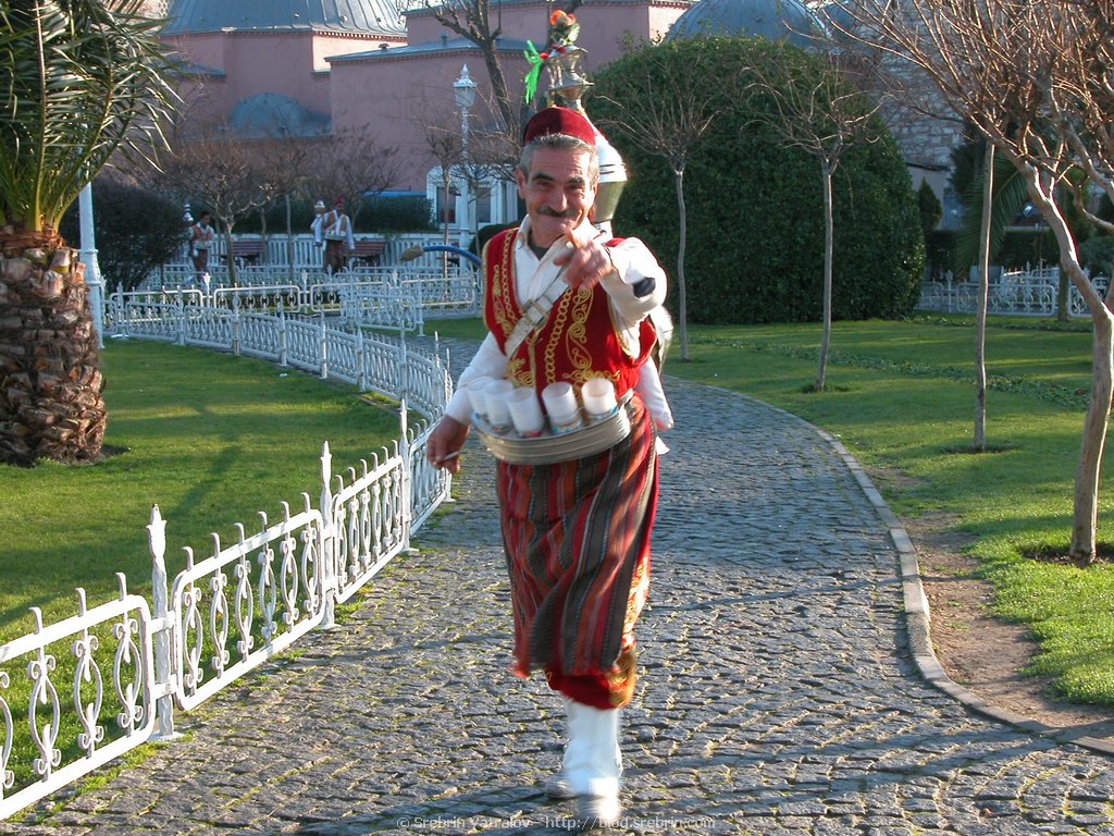 DSCN7757 Tea man Istanbul
Click for next picture...