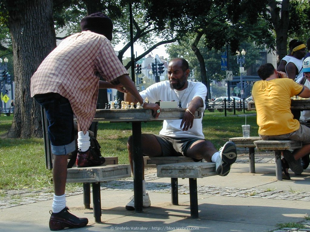 DSCN3210 Playing chess in Dupont circle park
Click for next picture...